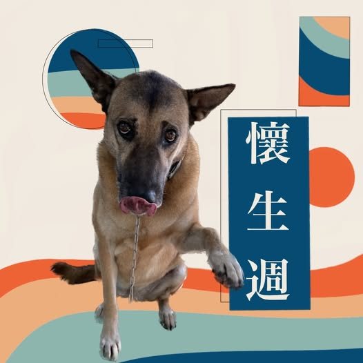 陽明懷生週 活動海報