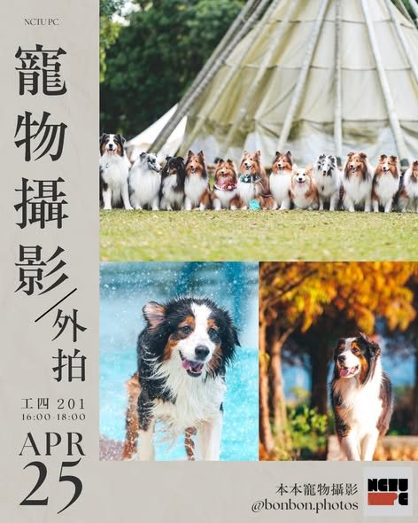 寵物攝影＆外拍 活動海報