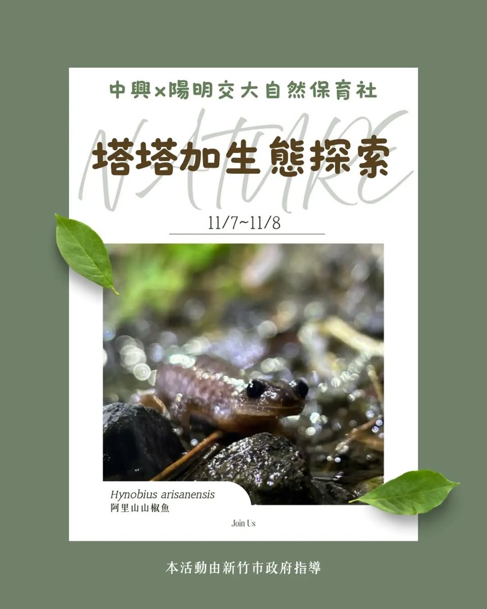 塔塔加生態探索暨調查 活動海報