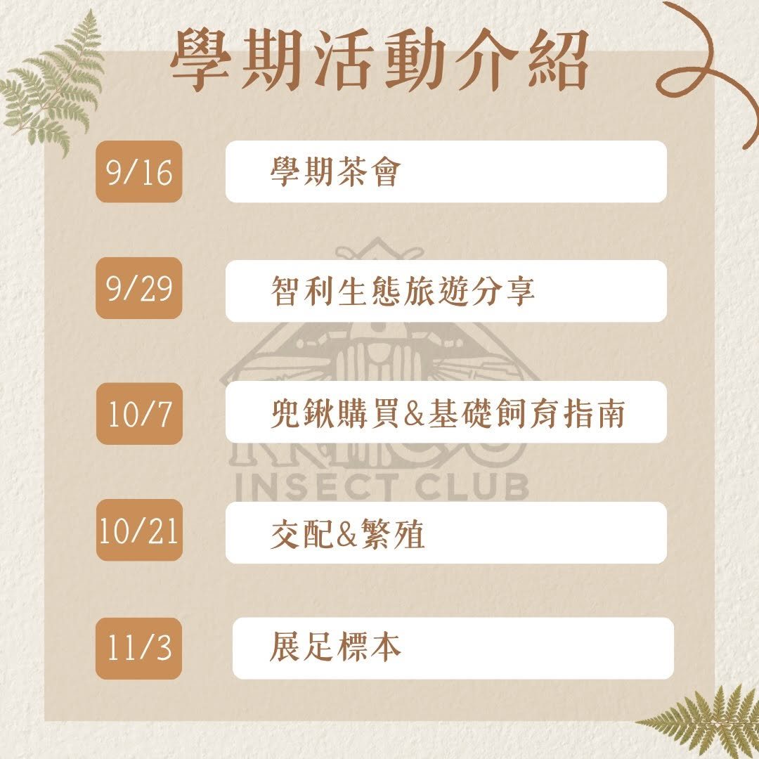 兜鍬購買與基礎飼育指南 活動海報