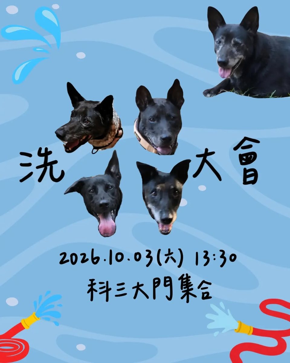 洗狗大會 活動海報