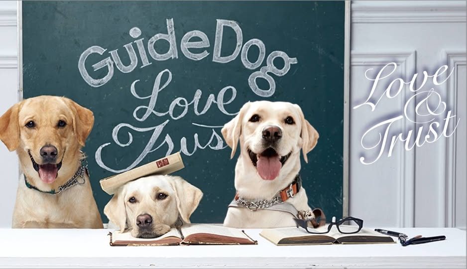黑暗中的領航員：導盲犬育成之路 活動海報