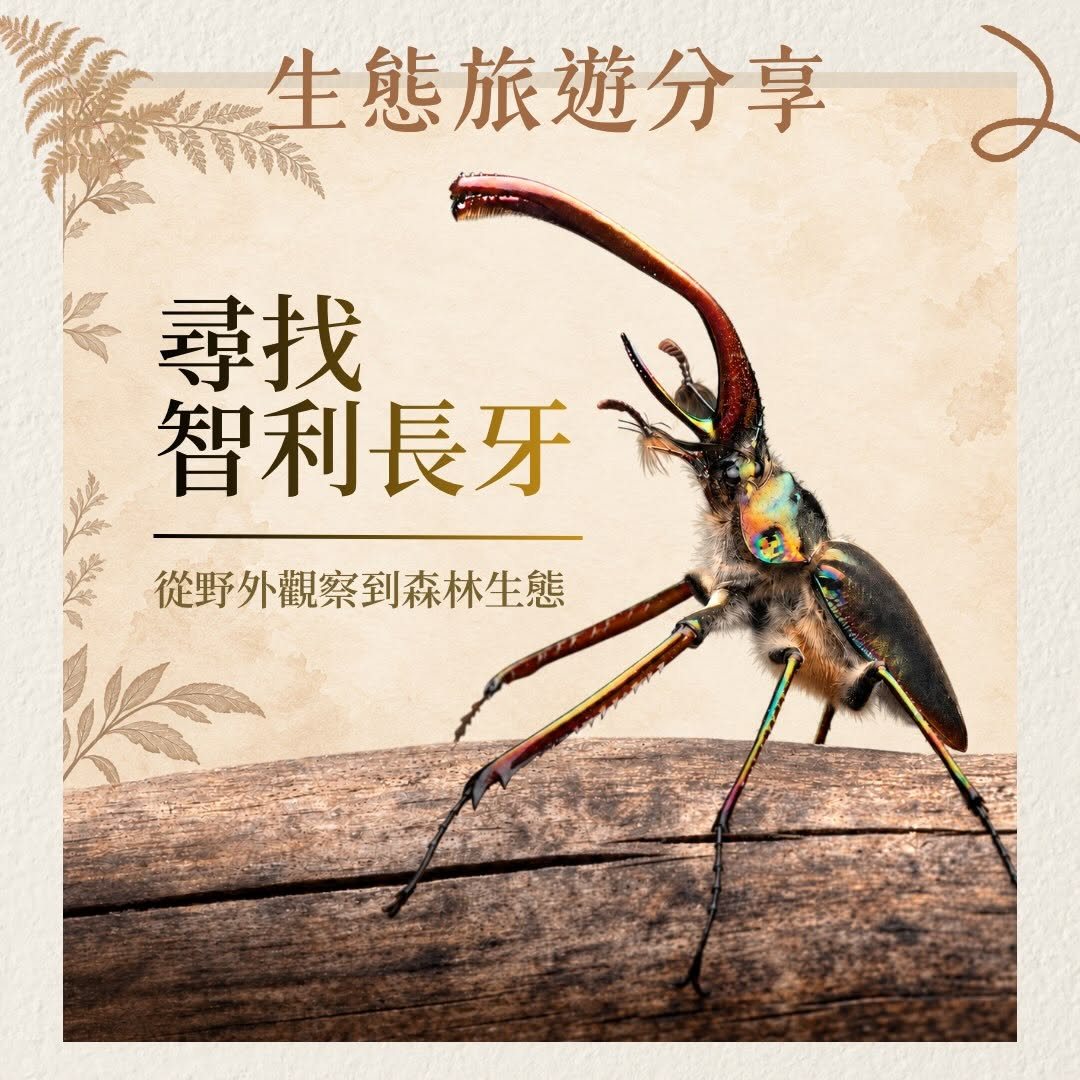 尋找智利長牙：從野外觀察到森林生態 活動海報